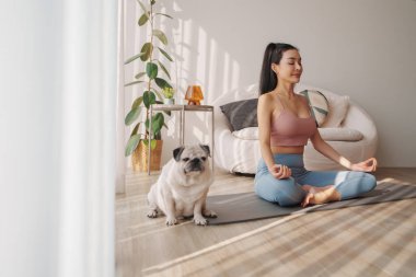 Yumuşak güneş ışığı ve ev bitkileriyle çevrili köpeğinin yanında meditasyon yapan Asyalı bir kadının iç mekan sahnesi.