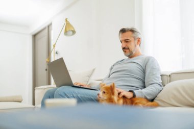 Gülümseyen orta yaşlı bir adam laptopta çalışırken rahat oturma odasındaki kanepede küçük bir chihuahua köpeği okşuyor, odaklanmış ve rahat bir ruh hali sergiliyor..