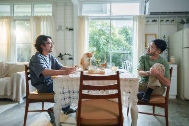 Gözlüklü ve sakallı iki arkadaş bir kediyle yemek masasında oturmuş, rahat, güneşli bir evde sohbet ediyor, dostluk ve rahat bir atmosfer sergiliyorlar..