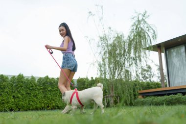 Genç Asyalı bir kadın, köpeğini yemyeşil bir bahçede tasmayla gezdiriyor güzel bir kız, evcil hayvanıyla dışarıda eğleniyor..