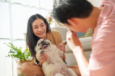 Asyalı çift, neşeli köpekleri ile oturma odasında kaliteli vakit geçirmeyi sever. Kadın nazikçe köpek patilerini tutarken, kadın gülümserken kamerayla fotoğraf çeken bir adam..