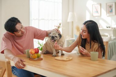 Asyalı çift bir masada oturup köpek maması yiyor ve birlikte eğleniyor, rahat bir atmosfer yaratıyorlar..
