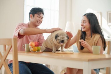 Asyalı çift yemek masasında oturmuş neşeli ifadeleri olan köpekleri okşuyor, sevgi dolu bağlarını sergiliyor ve ev ortamını rahatlatıyorlar..