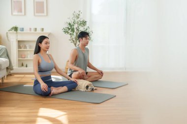 Nilüferde oturan Asyalı çift, sabah meditasyonu sırasında yoga minderleri üzerinde poz veriyor. Yanında küçük bir köpek yatıyor. Huzurlu bir atmosfer ve farkındalığa odaklanıyor.