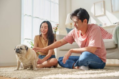 Genç Asyalı çift oturma odasında sevimli köpekleriyle şakalaşıyor..