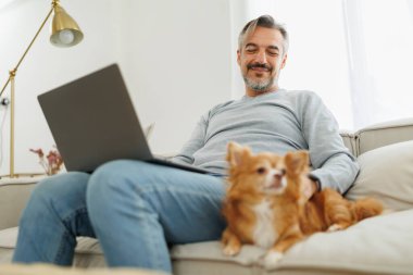 Orta yaşlı bir adam evcil köpeğiyle kanepede oturup, oturma odasında dizüstü bilgisayar kullanıyor..