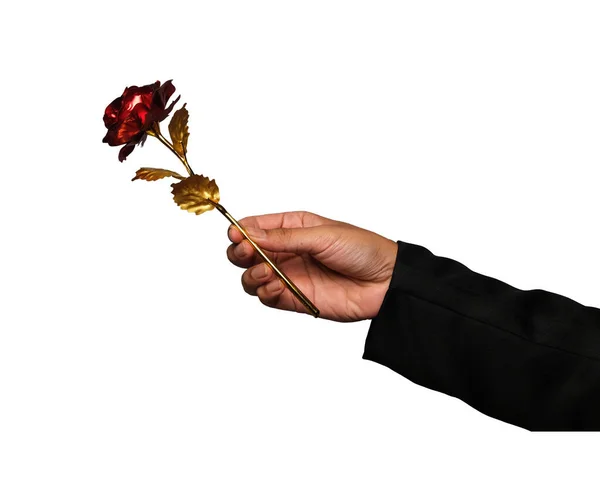A picture of men hand giving rose flower made of 24 karat gold on white background.
