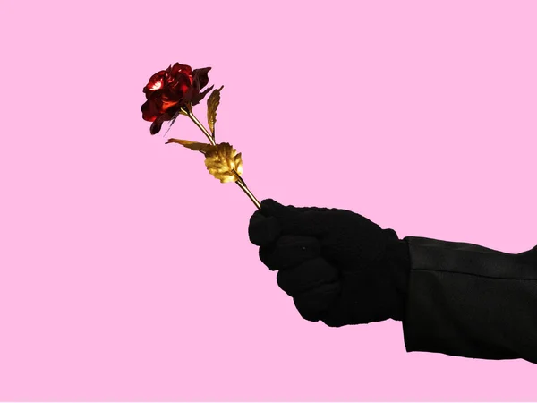 A picture of suspicious hand giving rose flower gold on pink background. Valentines concept and love scam concept.