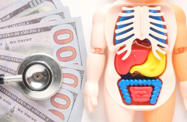 Flatlay close up picture of anatomy miniature with stethescope and fake money insight on white background. Medical expense, insurance and cost.