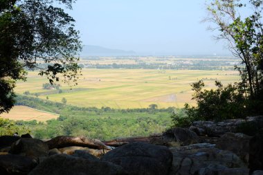 Jerai Hill yakınlarındaki bir dağdan çeltik tarlası manzaralı bir resim..
