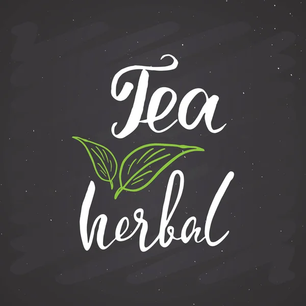 Herbal Tea Lettering Handwritten Sign Hand Drawn Grunge Calligraphic Text — Stockový vektor