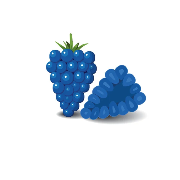 Blueberry Cartoon Fruit Vegan Organic Eco Product Vector Illustration — Stock Vector