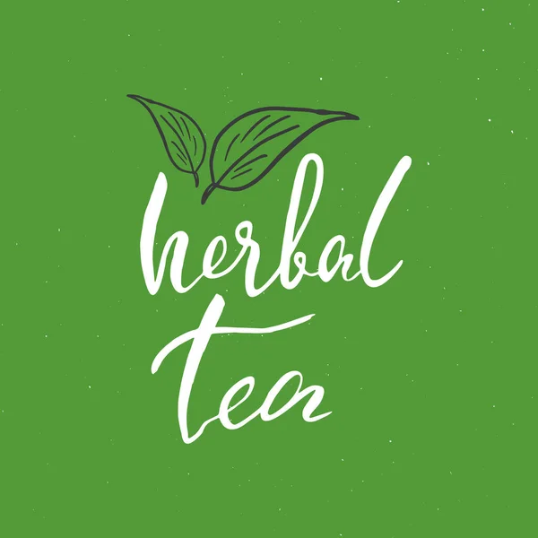 Herbal Tea Lettering Handwritten Sign Hand Drawn Grunge Calligraphic Text — Archivo Imágenes Vectoriales