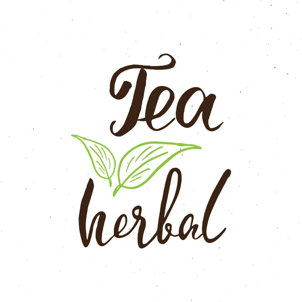 Herbal Tea Lettering Handwritten Sign Hand Drawn Grunge Calligraphic Text — Vector de stock
