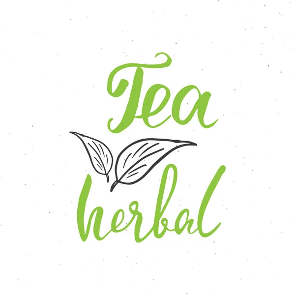 Herbal Tea Lettering Handwritten Sign Hand Drawn Grunge Calligraphic Text — Archivo Imágenes Vectoriales