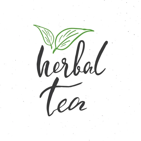 Herbal Tea Lettering Handwritten Sign Hand Drawn Grunge Calligraphic Text — Vetor de Stock