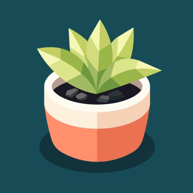 Yeşil yapraklı şirin küçük bir bitki, modern tarz esrar ya da saksı. Isome Manzarası. Ev ya da ofis dekorasyonu için bitki örtüsü. İçerde ya da dışarıda dekoratif bir nesne. Vektör grafik illüstrasyonu.