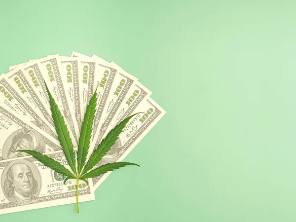 Vista Superior Das Folhas Cannabis Notas Dos Eua Com Fundo — Fotografia de Stock