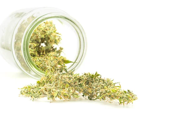 stock image Beautiful drying cannabis buds flower outside of a jar on white background. Close-up photo with space for text. Concept of marijuana plantation for medical and business.