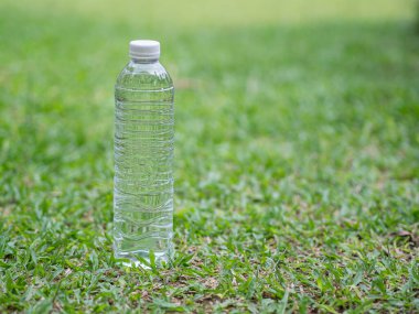 Çimlere plastik bir su şişesi konur. Yakın plan fotoğraf. Metin için boşluk.