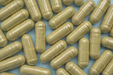 Açık mavi arka planda izole edilmiş andrografiden oluşan panikleme kapsülleri. Yakın plan fotoğraf. Bitkisel, ilaç ve sağlık hizmetleri kavramı.