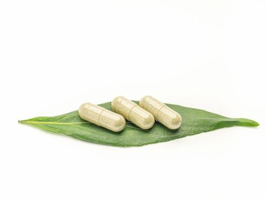 Beyaz arka planda yeşil yapraklara yerleştirilmiş üç Andrographis panikleme kapsülüne yakın plan. Mesaj için yer var. Bitkisel, ilaç ve sağlık hizmetleri kavramı.