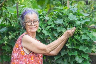 Mutlu, kısa gri saçlı, gülümseyen ve arka bahçede duran kameraya bakan son sınıf öğrencisi bir kadın. Yaşlılar ve rahatlama kavramı.