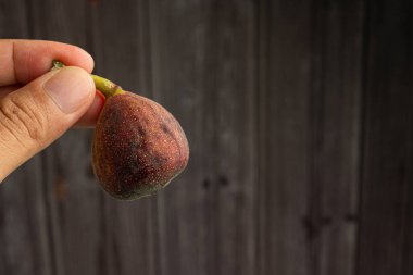 Ahşap arka planı olan olgun incir meyvelerinin el ele tutuşması. Yüksek vitamin meyvesi. Mesaj için yer var. Yakın plan fotoğraf. Sağlıklı meyve ve sağlık konsepti.