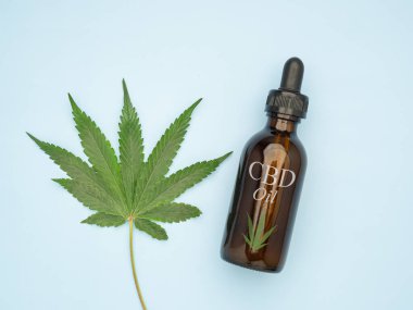 Kenevir yaprağı, mavi arka planda izole edilmiş CBD yağ şişesi. Alternatif tıp, iş ve yasallaştırma kavramı.