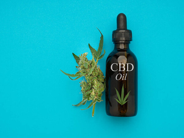 Вид сверху на бутылку с маслом CBD конопли и бутоны марихуаны на синем фоне. Конопля может помочь справиться с хронической болью, тошнотой и рвотой в результате химиотерапии