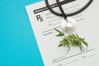 Steteskop ve marihuana tomurcukları mavi arka planda izole edilmiş tıbbi reçete kağıdının üzerinde görünür. Mesaj için yer var. Bitkisel, tıbbi ve sağlık hizmetleri kavramı