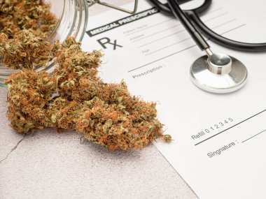 Kuru marihuana tomurcukları çiçek ve tıbbi reçete kağıdında steteskop. Yakın plan fotoğraf. Bitkisel, tıbbi, sağlık ve işletme kavramı.