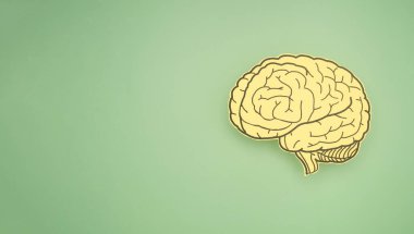 Yeşil arka plandaki kağıttan yapılmış bir beyin şekli. Alzheimer, Parkinson hastalığı, bunama, felç, nöbet ya da akıl sağlığı. Nöroloji ve psikoloji. Üst Manzara. Metin için boşluk