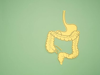 Yeşil arka planda kağıttan yapılmış kalın bir bağırsak şekli. Kabızlık ve ishalin tedavisi ve önlenmesi. Bağırsak mikroflorası ve probiyotik. Üst Manzara. Mesaj için yer var. Sağlık hizmetleri kavramı