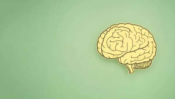 Yeşil arka plandaki kağıttan yapılmış bir beyin şekli. Alzheimer, Parkinson hastalığı, bunama, felç, nöbet ya da akıl sağlığı. Nöroloji ve psikoloji. Üst Manzara. Metin için boşluk