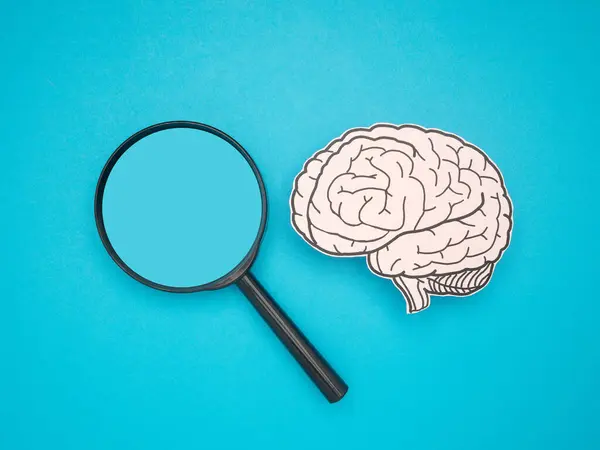 Kağıttan yapılmış bir beyin şekli ve mavi arka planda büyüteç. Alzheimer, Parkinson hastalığı, bunama, felç, nöbet ya da akıl sağlığı. Nöroloji ve Psikoloji