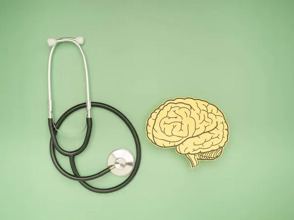 Stetoskop ve yeşil arka planda kağıttan yapılmış beyin şekli. Alzheimer, Parkinson hastalığı, bunama, felç, nöbet ya da akıl sağlığı. Nöroloji ve Psikoloji