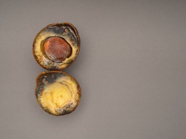 Bozuk avokadolar gri arka planda ikiye bölünmüş. Üst Manzara. Mesaj için yer var. Yakın plan fotoğraf.