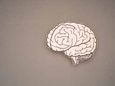 Brain shape made from paper on a gray background. Awareness of Alzheimer's, Parkinson's disease, dementia, stroke, seizure, or mental health. Neurology and Psychology care. Top view. Space for text clipart