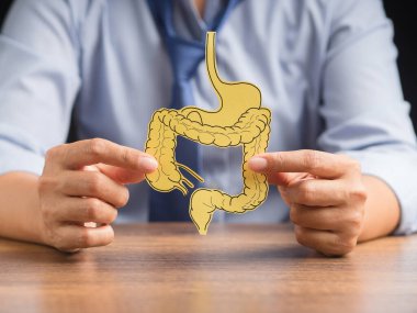 Sarı kağıttan yapılmış kalın bağırsak şekilli bir adam. Kabızlık ve ishalin tedavisi ve önlenmesi. Bağırsak mikroflorası ve probiyotik. Yakın plan fotoğraf. Sağlık hizmetleri kavramı