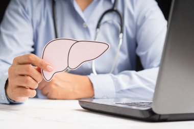 Doktor, hastanede otururken pembe kağıttan yapılmış karaciğer şeklini tutuyor. Sağlık ve Tıp Konsepti
