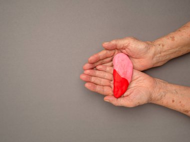 Yaşlı bir kadının gri arka planındaki plastikten yapılmış karaciğer şekli. Üst Manzara. Sağlık ve Tıp Konsepti.