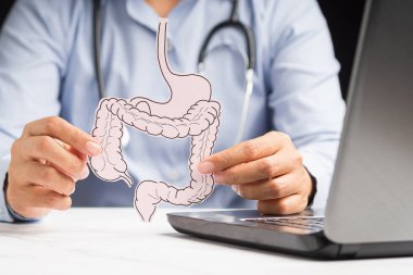 Doktor pembe kağıttan yapılmış kalın bir bağırsak şekli tutuyor. Kabızlık ve ishalin tedavisi ve önlenmesi. Bağırsak mikroflorası ve probiyotik. Yakın plan fotoğraf. Sağlık hizmetleri kavramı