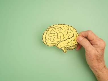 Açık yeşil arka planda kağıttan yapılmış bir beyin şeklini tutan el. Alzheimer, Parkinson hastalığı, bunama, felç, nöbet ya da akıl sağlığı. Nöroloji ve Psikoloji