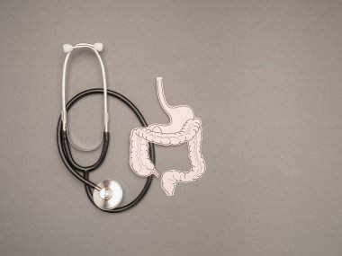 Stetoskop ve kağıttan yapılmış gri bir arka plan. Kabızlık ve ishalin tedavisi ve önlenmesi. Bağırsak mikroflorası ve probiyotik. Üst Manzara. Metin için boşluk