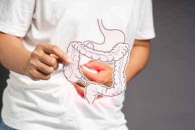 Kağıttan yapılmış kalın bir bağırsak şeklini tutan karın ağrısı, mide ülseri, apandisit ya da mide sistemi hastalığından muzdarip karın ağrısına dokunan bir el. Yakın plan fotoğraf.