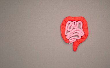 Gri arka planda plastikten yapılmış kalın bir bağırsak şekli. Kabızlık ve ishalin tedavisi ve önlenmesi. Bağırsak mikroflorası ve probiyotik. Mesaj için yer var. Üst görünüm
