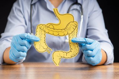 Doktor sarı kağıttan yapılmış kalın bir bağırsak şekli tutuyor. Kabızlık ve ishalin tedavisi ve önlenmesi. Bağırsak mikroflorası ve probiyotik. Yakın plan fotoğraf. Sağlık hizmetleri kavramı
