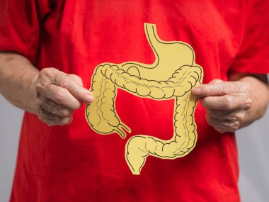 Sarı kağıttan yapılmış kalın bağırsak şeklinde bağırsak tutan yaşlı bir kadın. Kabızlık ve ishalin tedavisi ve önlenmesi. Bağırsak mikroflorası ve probiyotik. Sağlık hizmetleri kavramı