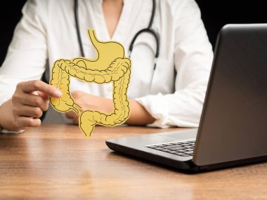 Bir doktor hastanede otururken kalın bir bağırsak mankeni tutuyor. Kabızlık ve ishalin tedavisi ve önlenmesi. Bağırsak mikroflorası ve probiyotik. Yakın plan. Sağlık hizmetleri kavramı
